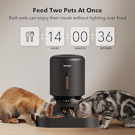 Dispensador automático para 2 gatos con WiFi 5G