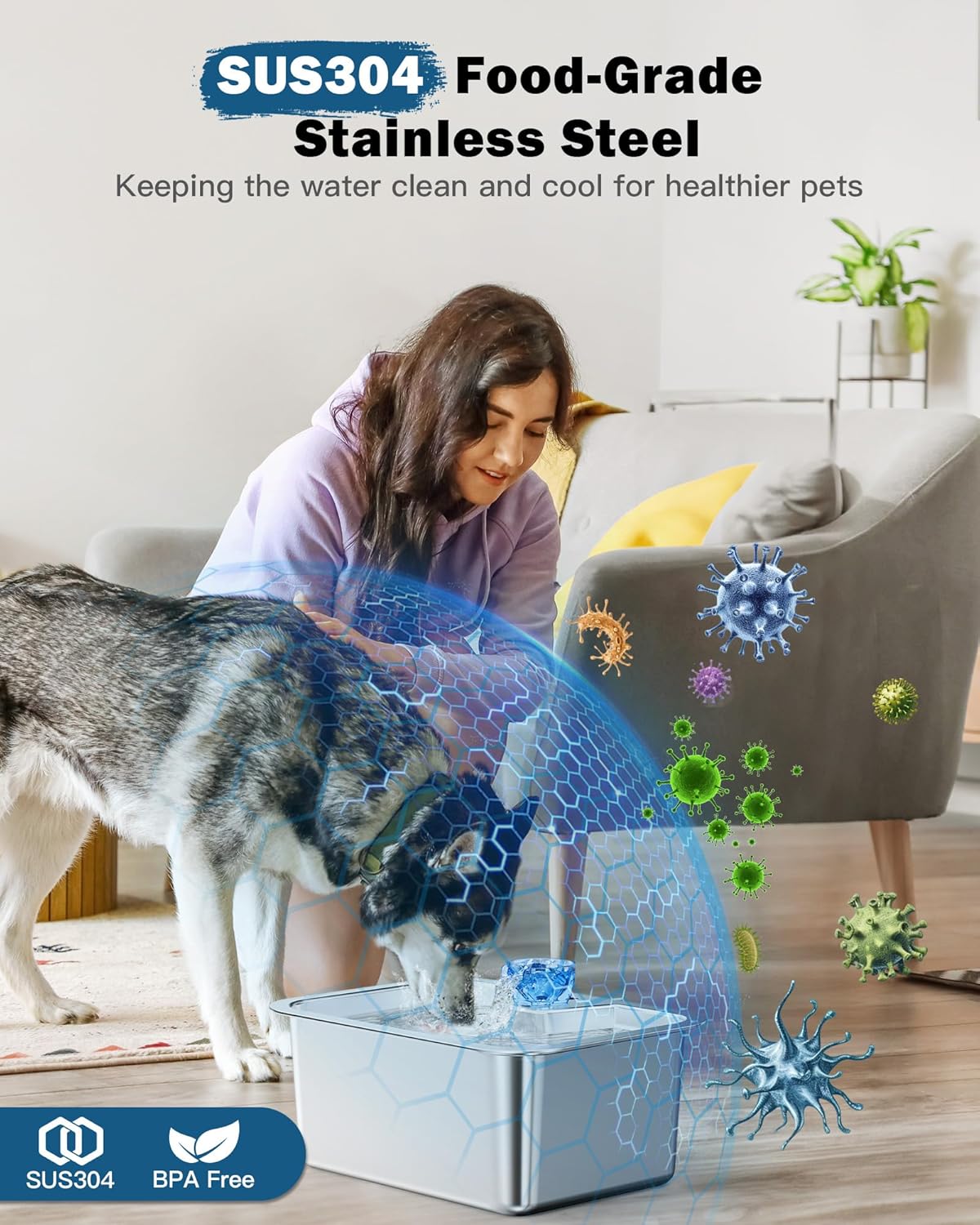 Fuente de agua para perros