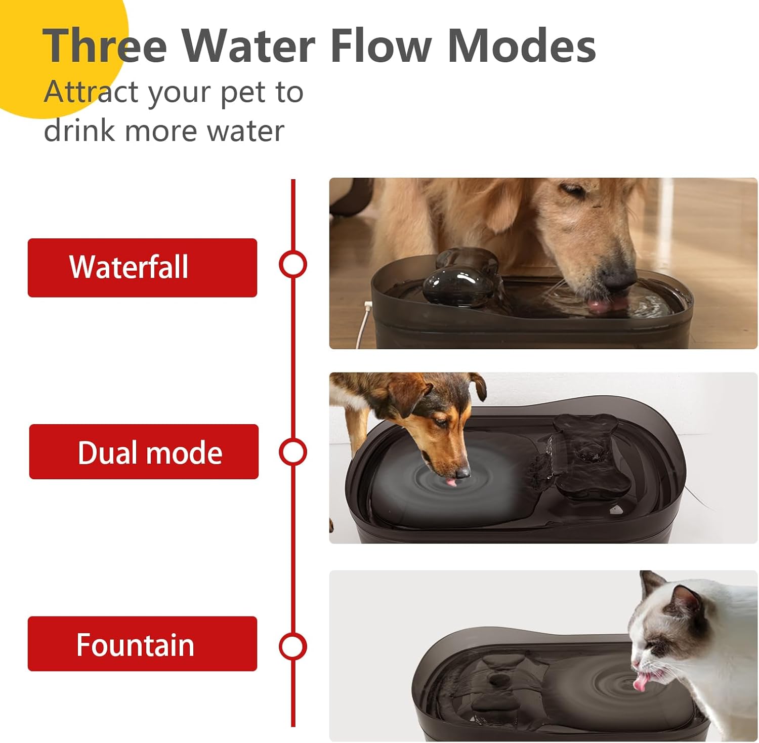 Dispensador de agua para perros