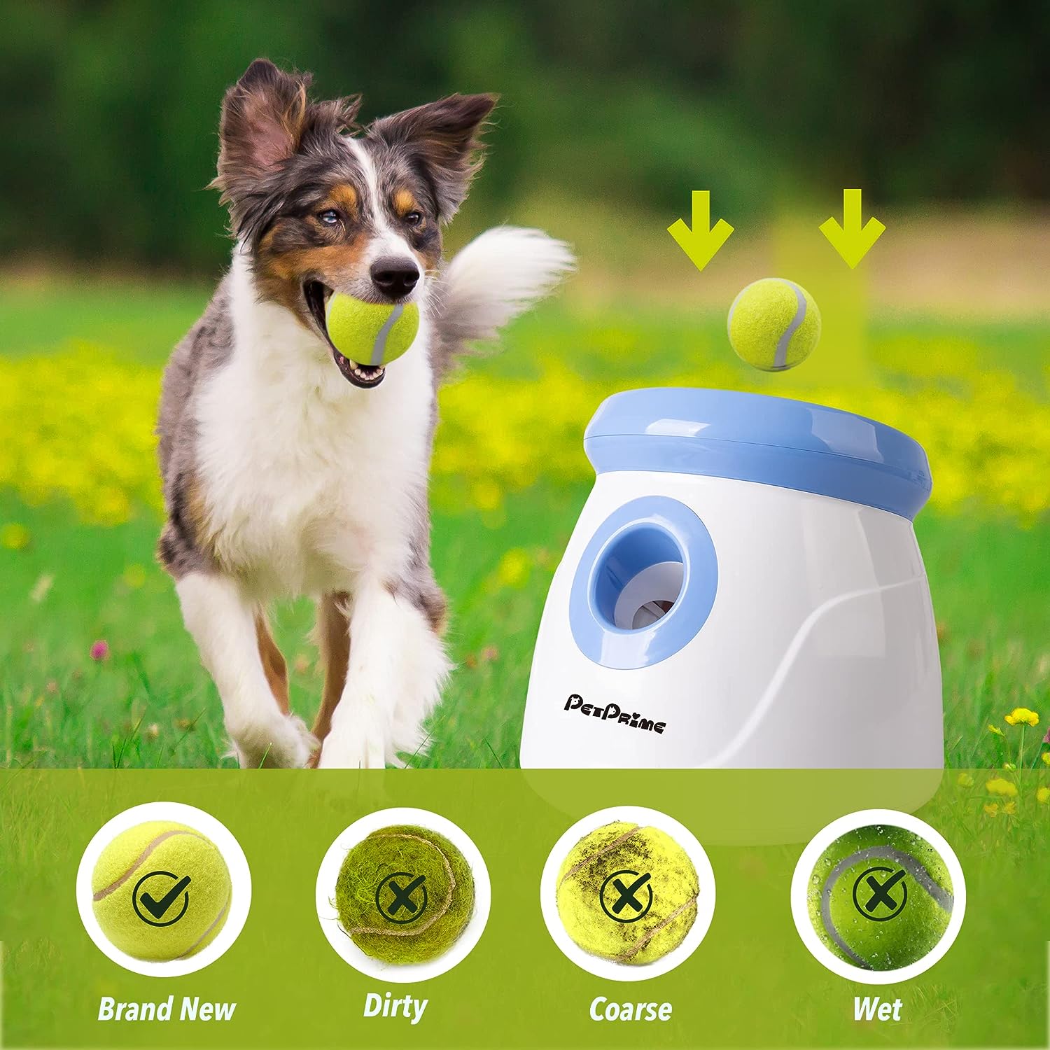 Lanzador automático interactivo de pelotas 2" para perros raza chica