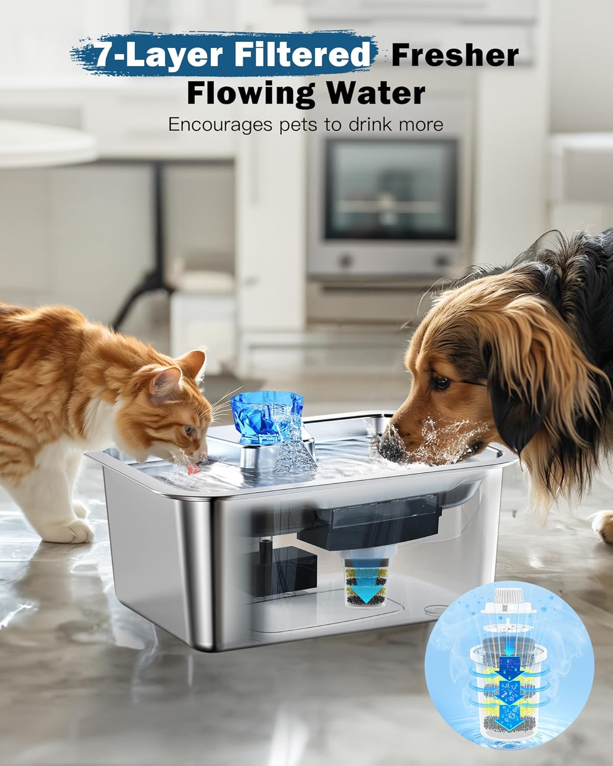 Fuente de agua para perros