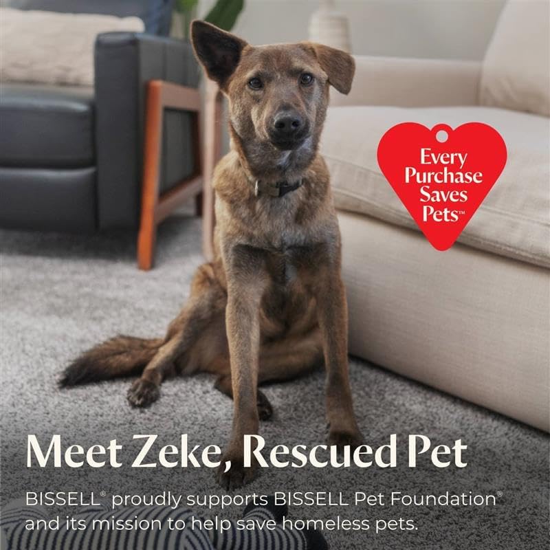 Limpiador portátil multiuso alfombra y tapicería