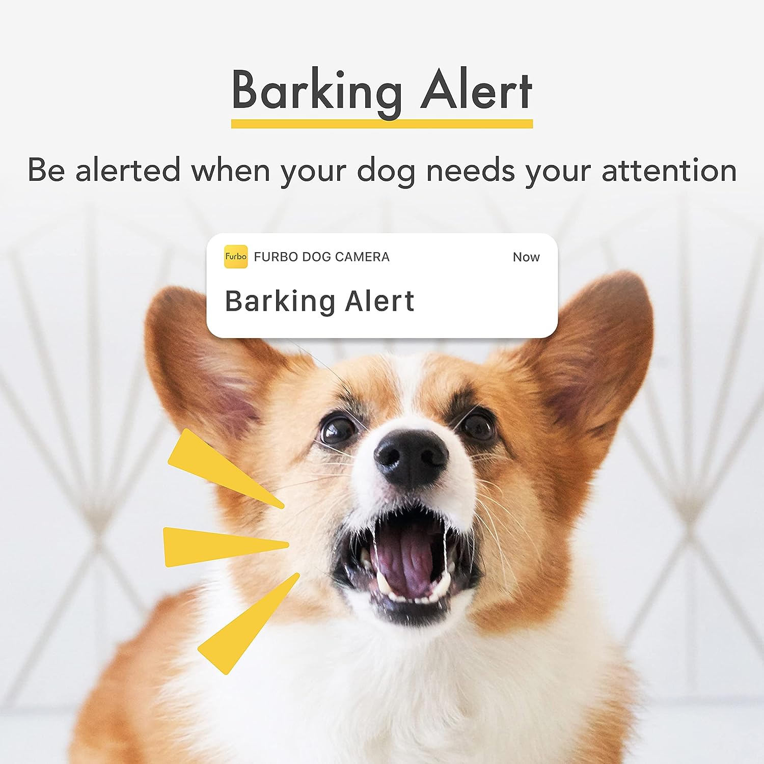 Cámara giratoria de visión de 360° para mascotas con lanzamiento de golosinas