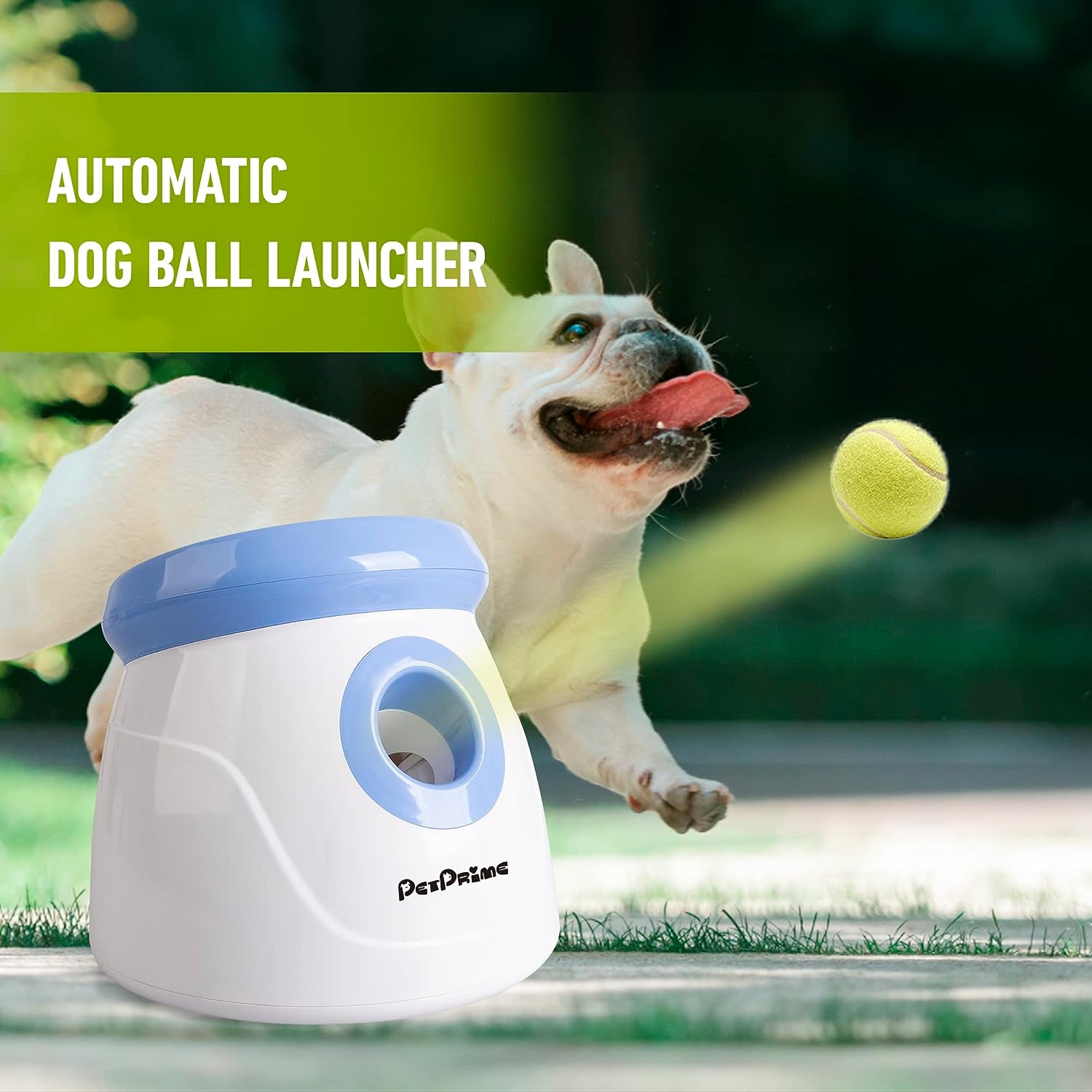 Lanzador automático interactivo de pelotas 2" para perros raza chica