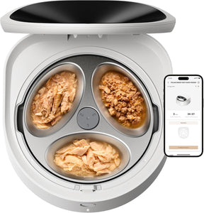Comedero automático para gatos con cuenco