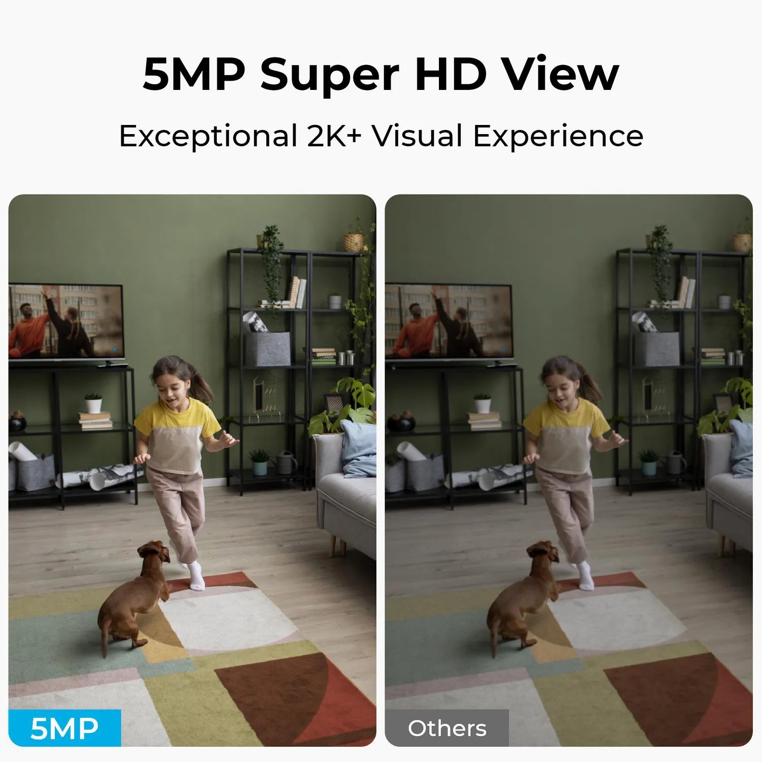 Reolink E331 – Cámara IP WiFi PTZ 5MP para Interior