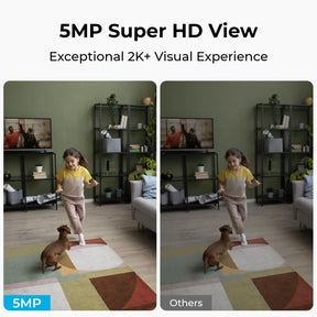 Reolink E331 – Cámara IP WiFi PTZ 5MP para Interior