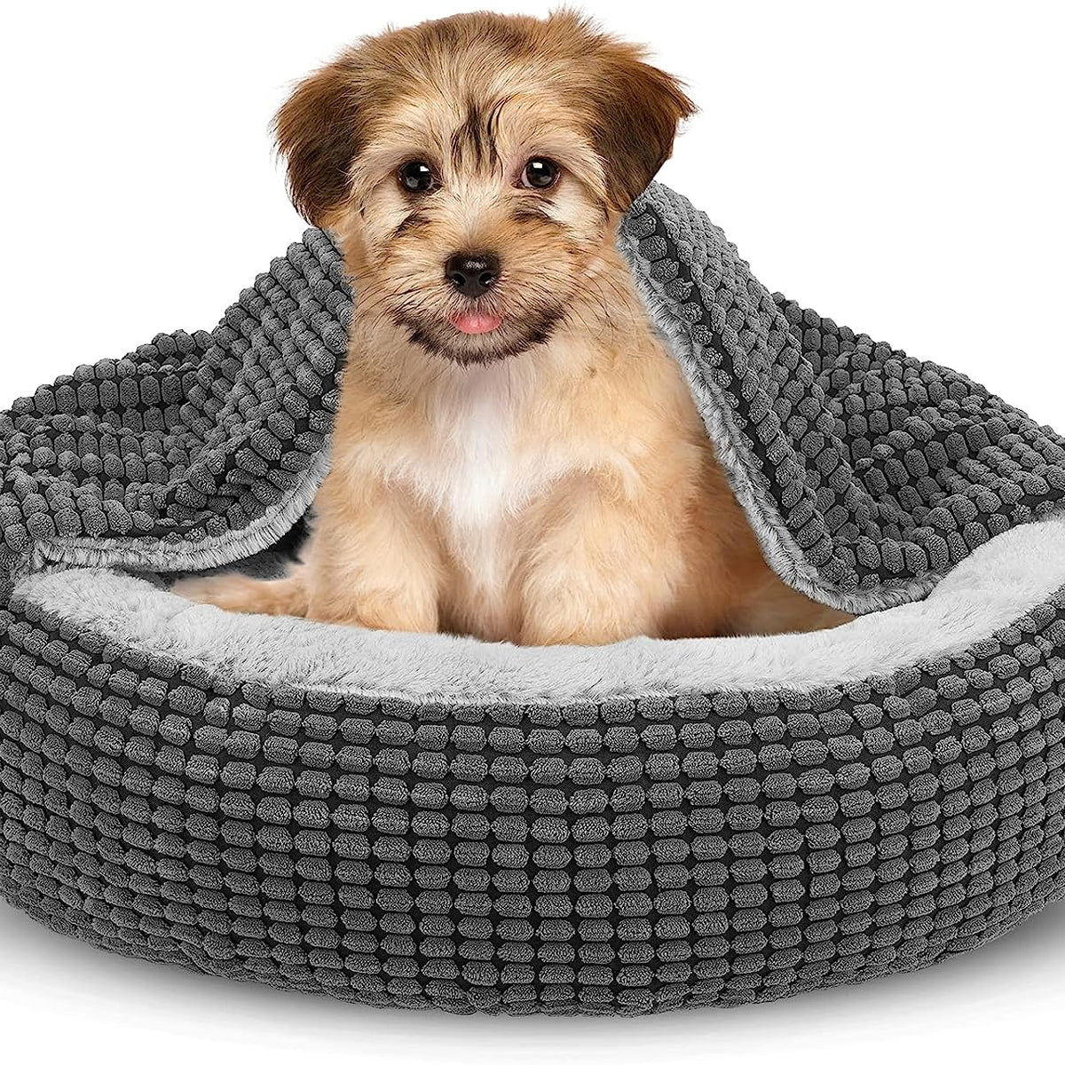 Mercadolibre Cama Y Casa Para Perros Perros Pequeños Sillon Para