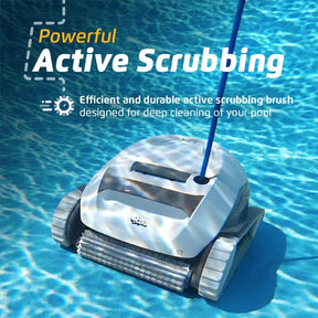 Robot de Piscina Dolphin