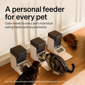 Alimentador Automático para Gatos