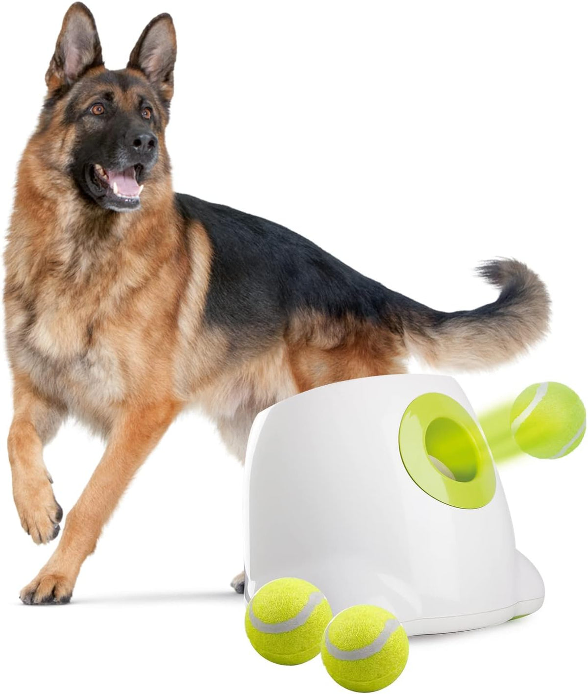 Lanzador automático interactivo de pelotas (2,5") para perros raza grande - 3 Pelotas incluidas