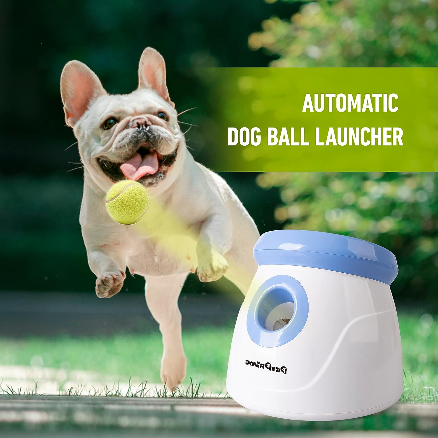 Lanzador automático interactivo de pelotas 2" para perros raza chica