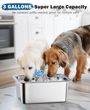 Fuente de agua para perros