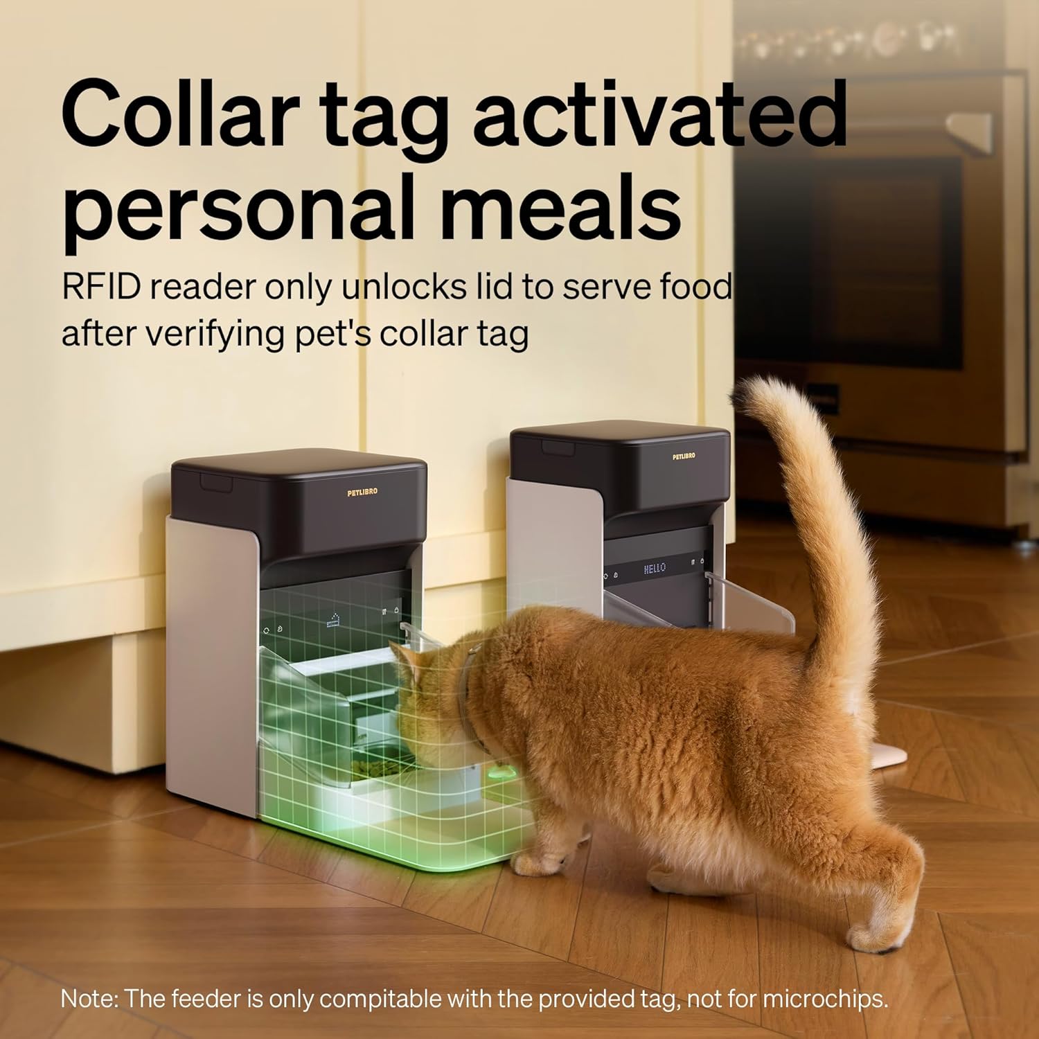 Alimentador Automático para Gatos