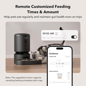 Dispensador automático para 2 gatos con WiFi 5G