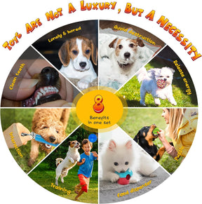 Paquete de 20 juguetes masticables para tu mascota - Kipritii