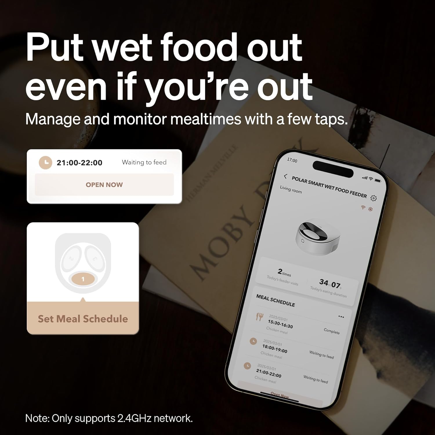 Comedero automático para gatos con cuenco