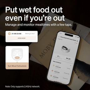 Comedero automático para gatos con cuenco