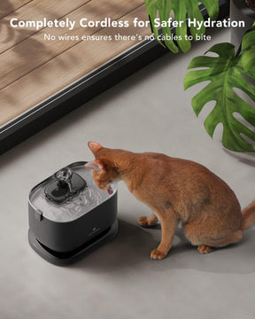 Dispensador automático de agua potable inalámbrico