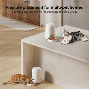 Dispensador de Alimentos para gatos con WiFi