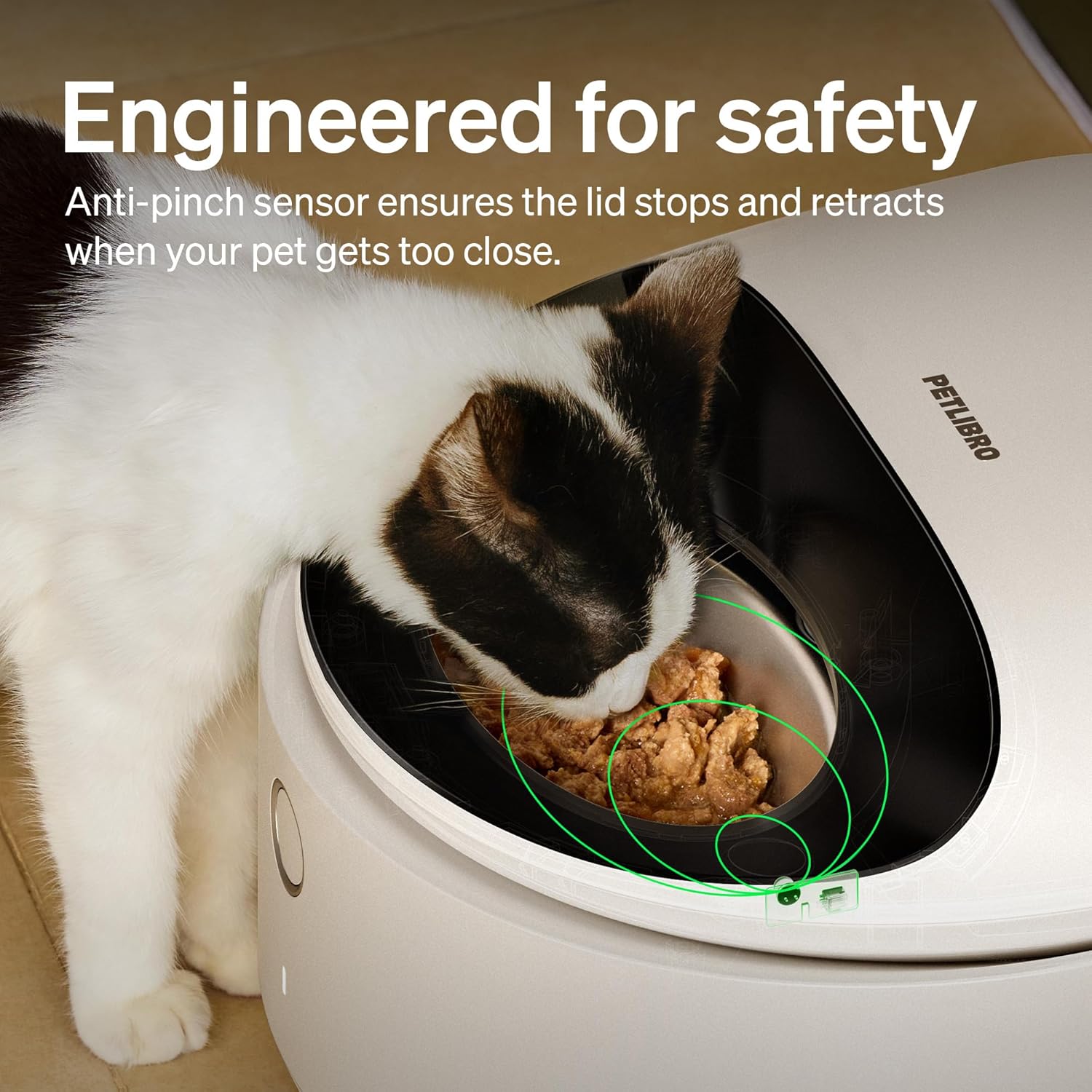 Comedero automático para gatos con cuenco