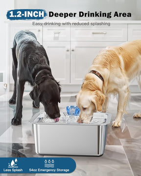 Fuente de agua para perros
