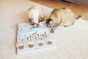 Tablero actividades para gatos | Para estimulación mental