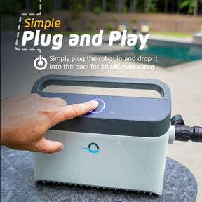 Robot de Piscina Dolphin