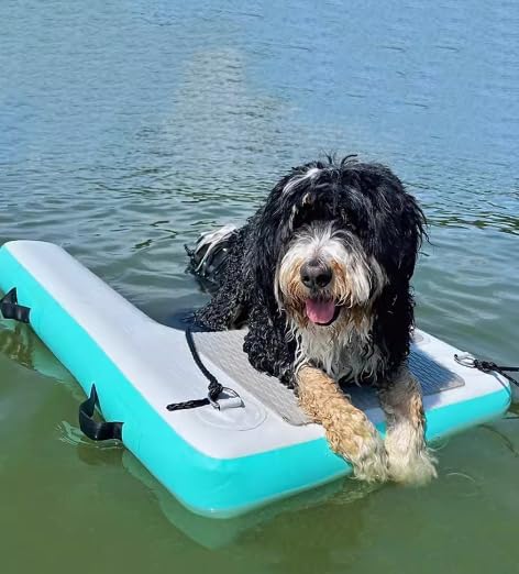 Rampas inflables de agua para perros