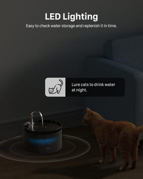 Dispensador automático de agua para gatos | 6 filtros, 3 esponjas