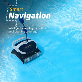 Robot de Piscina Dolphin