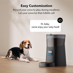 Dispensador automático de alimentos para mascotas 6L