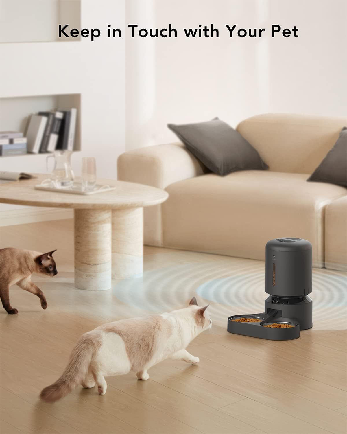 Alimentador automático para 2 mascotas, WiFi y grabación de voz