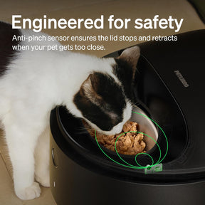 Comedero automático para gatos con cuenco