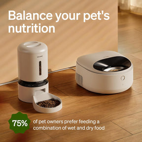 Comedero automático para gatos con cuenco