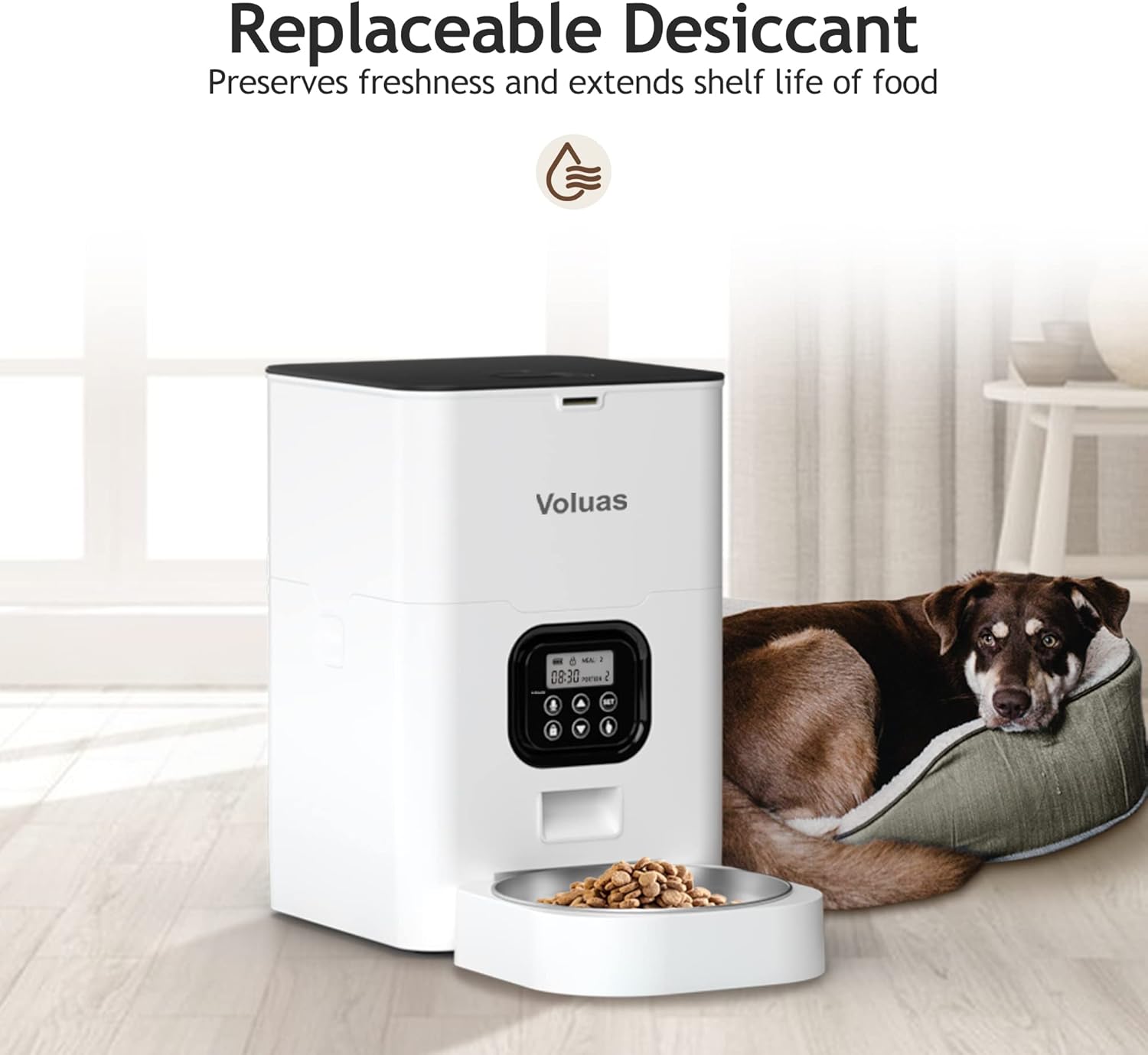 Dispensador automático para gatos 4L