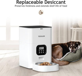 Dispensador automático para gatos 4L