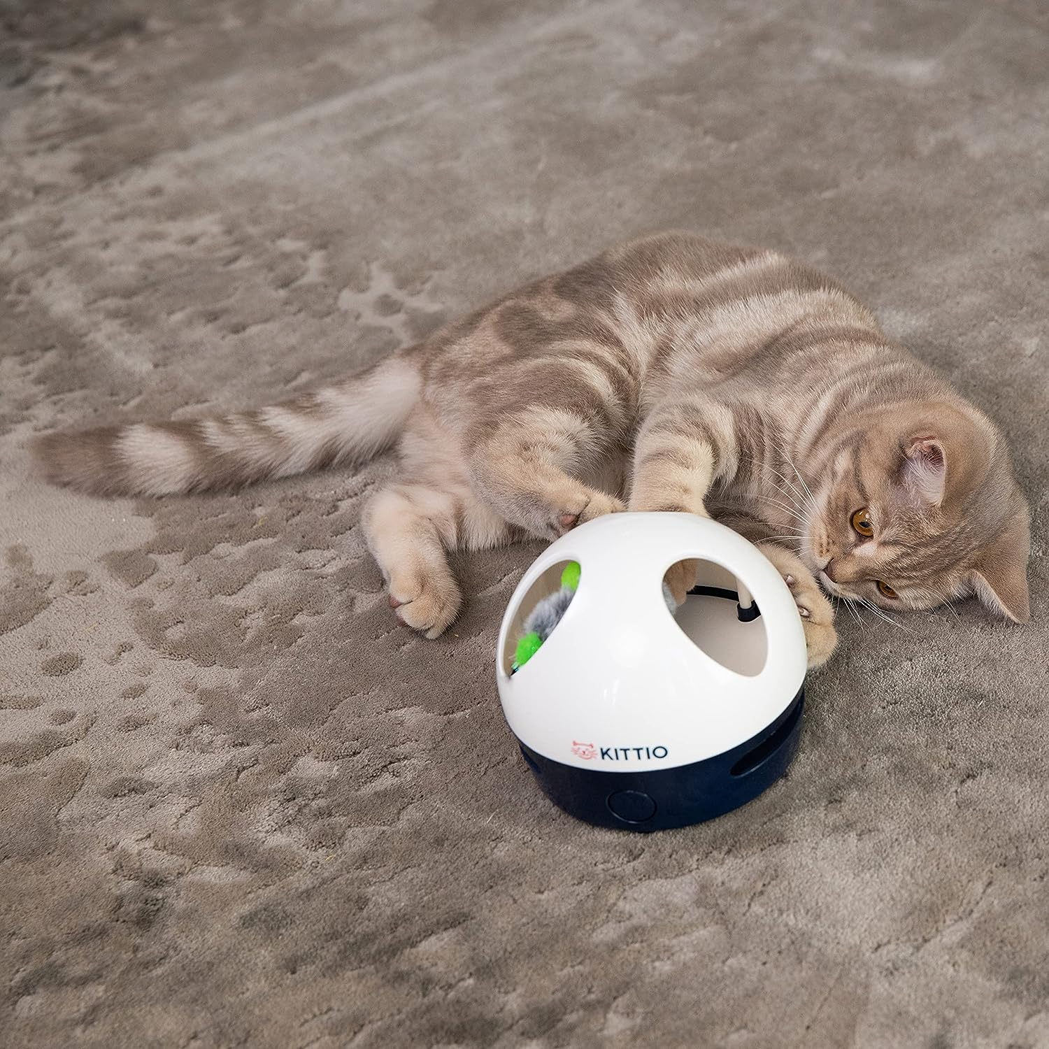 Divertido juguete interactivo para gatos, persecución automática de cola y ratón