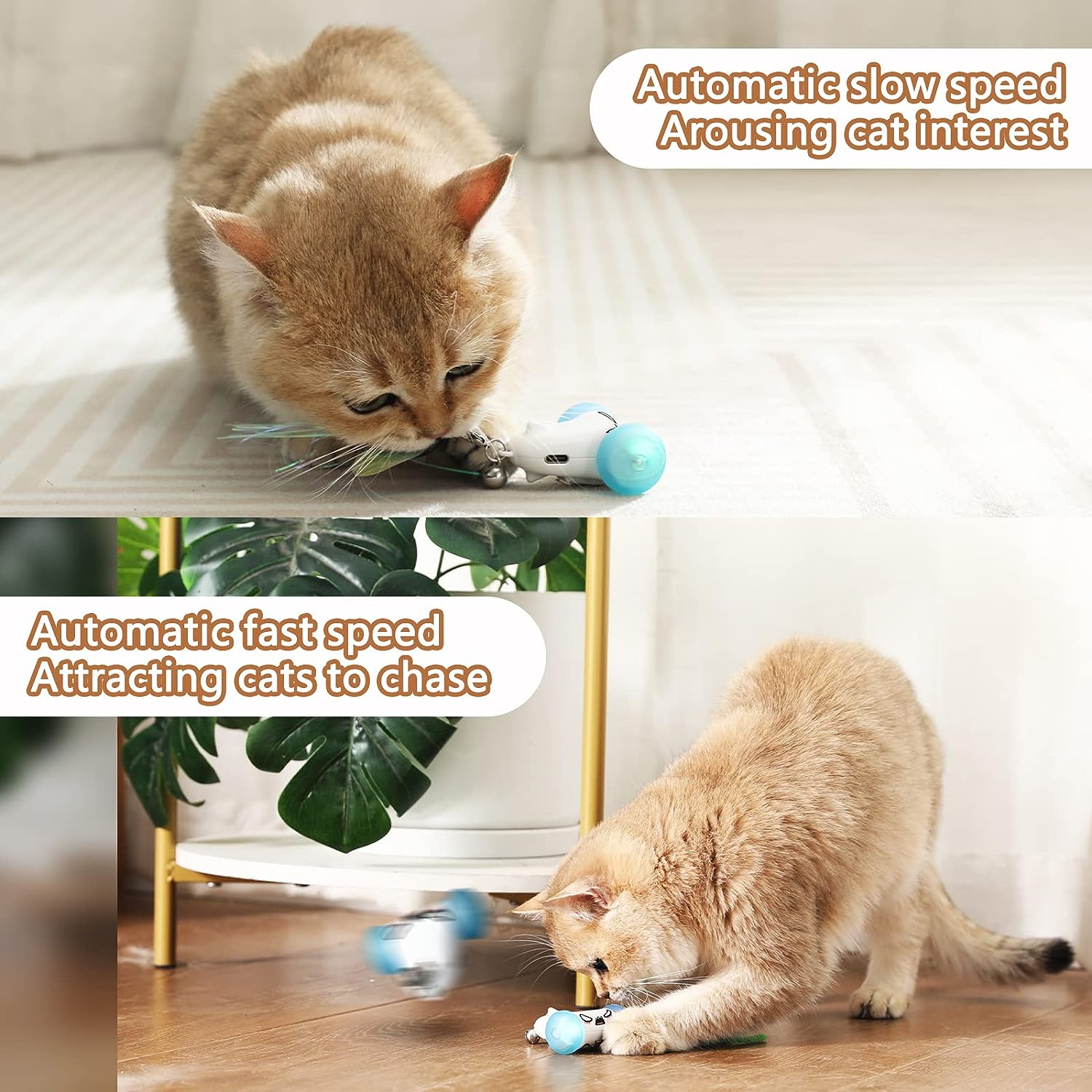 CZPET Juguetes inteligentes para gatos de persecución de ratones