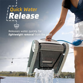 Robot de Piscina Dolphin