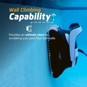 Robot de Piscina Dolphin
