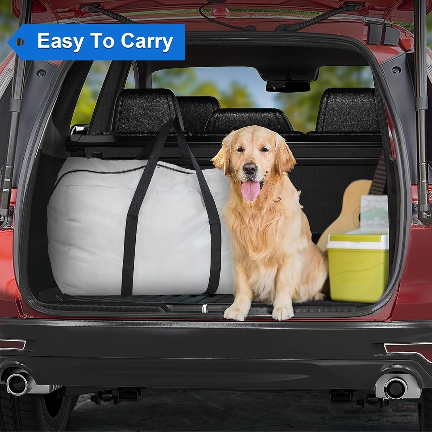 Rampas inflables de agua para perros