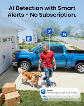 Cámara de seguridad solar 4k - Argus PT Ultra Reolink + Panel Solar