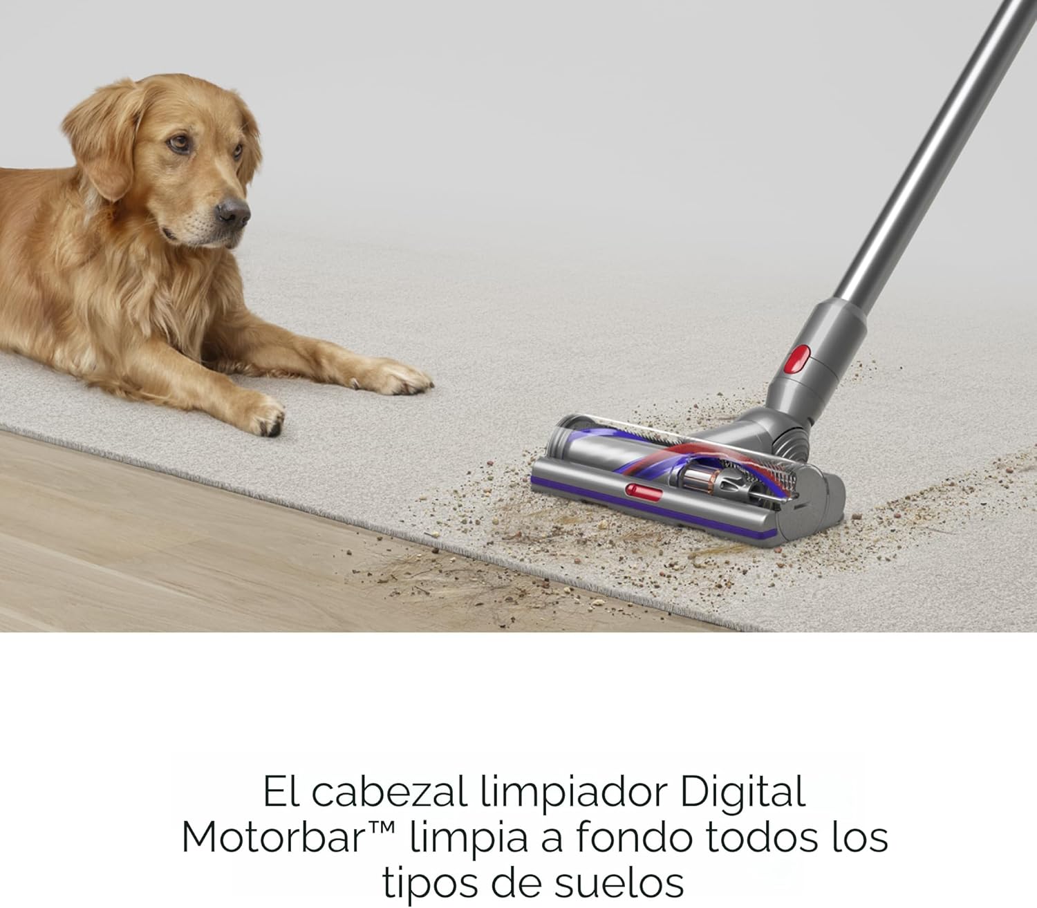 Dyson Aspiradora inalámbrica V15 Detect Plus