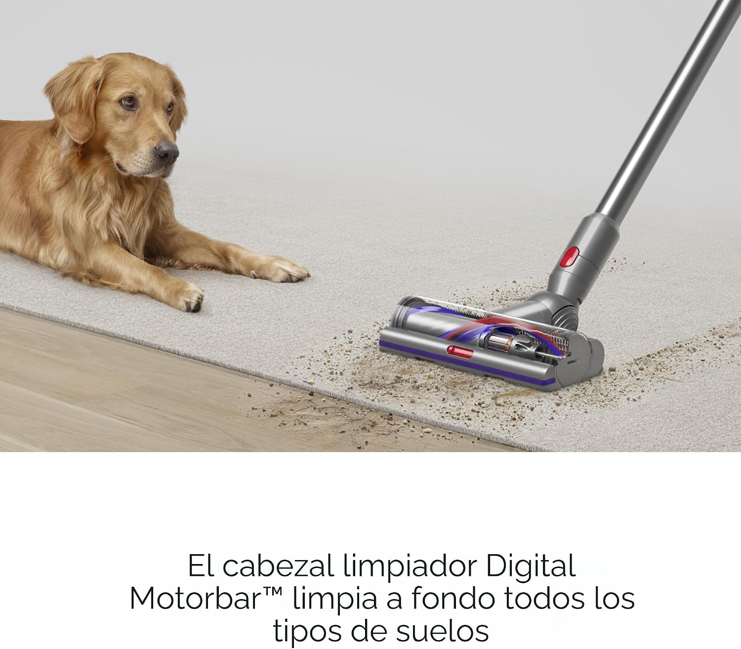 Dyson Aspiradora inalámbrica V15 Detect Origin