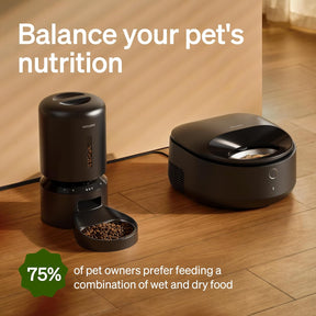 Comedero automático para gatos con cuenco