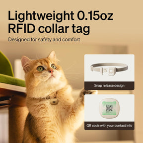 Alimentador Automático para Gatos