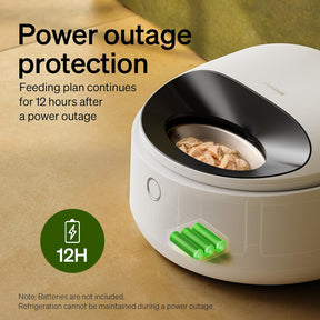 Comedero automático para gatos con cuenco