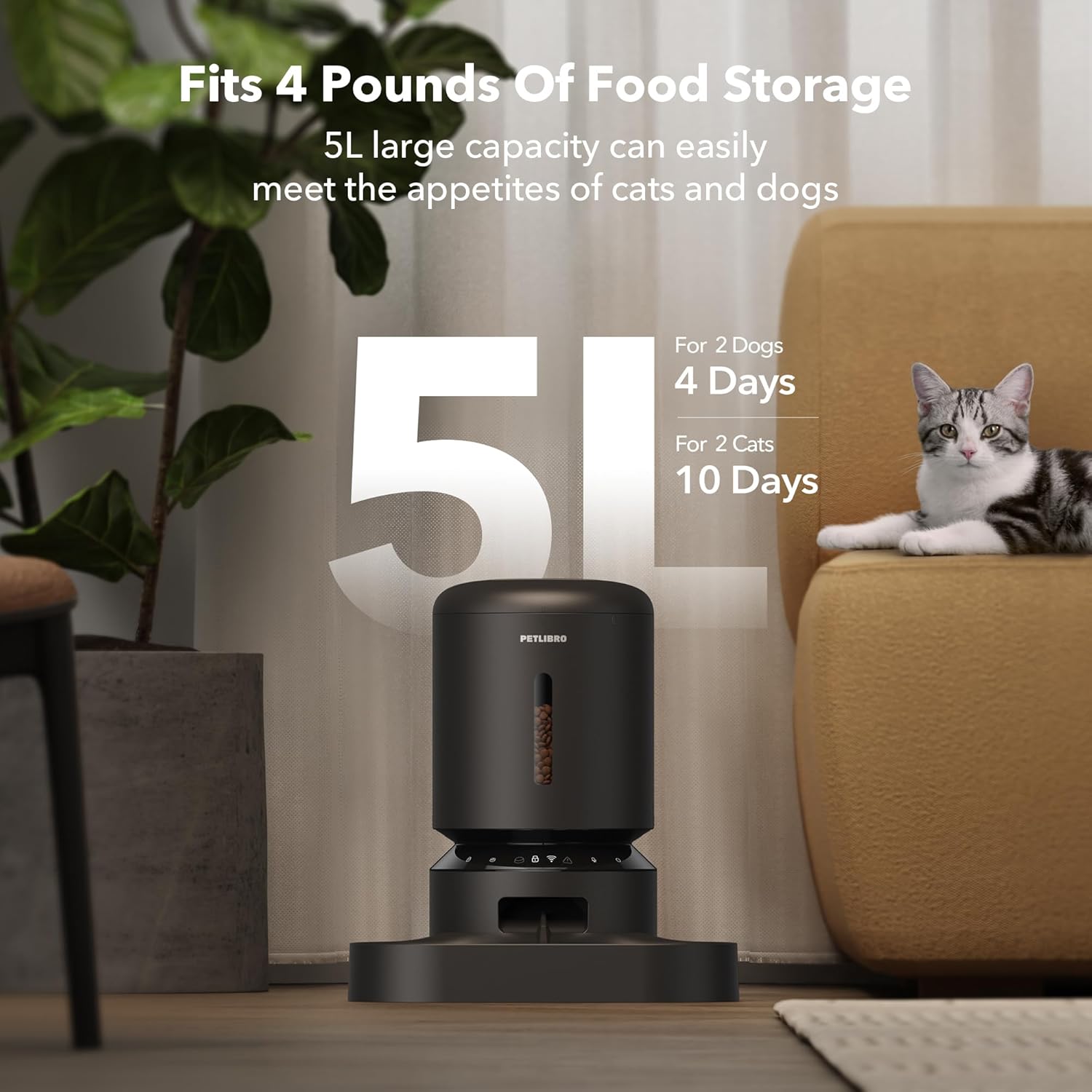 Dispensador automático para 2 gatos con WiFi 5G
