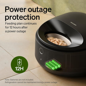 Comedero automático para gatos con cuenco